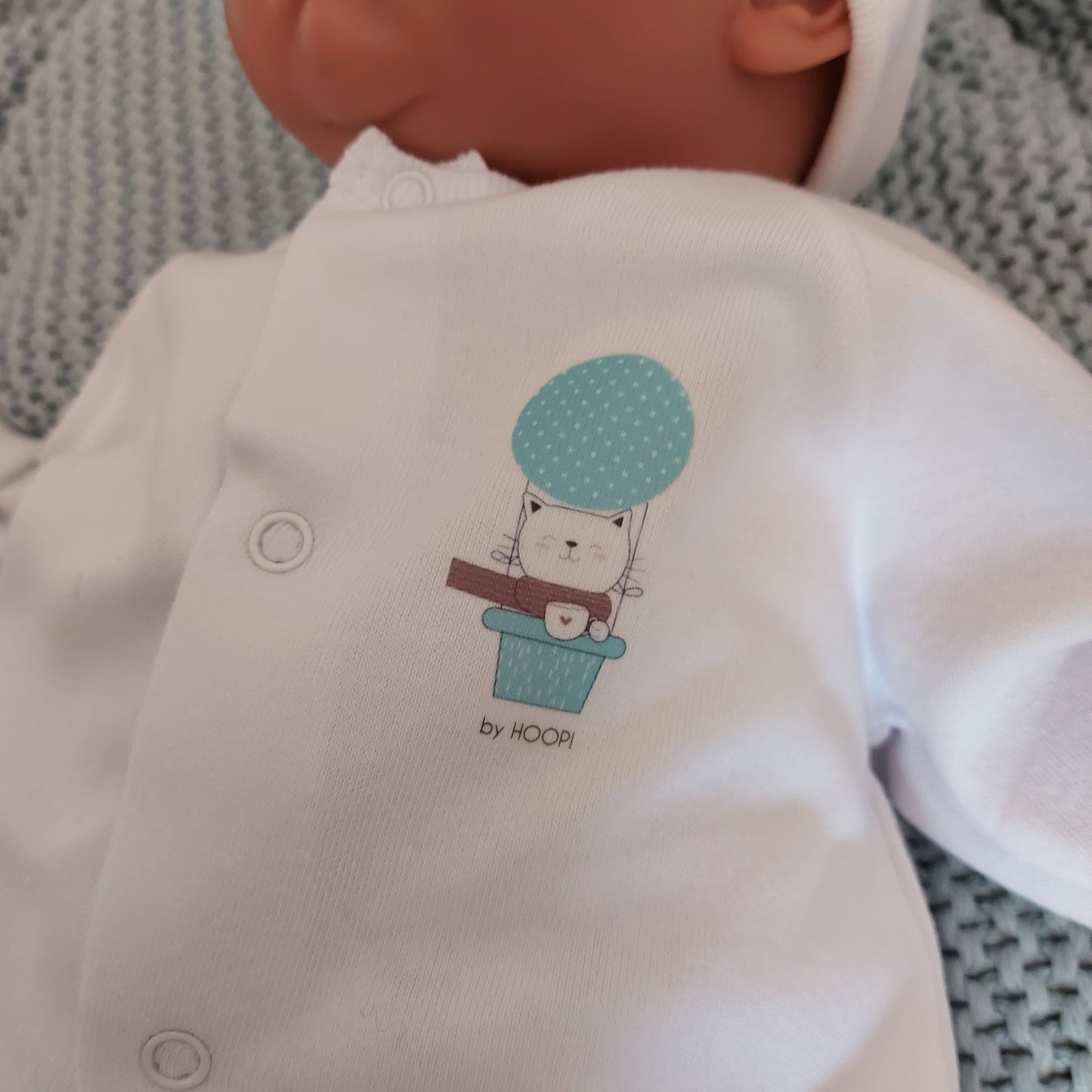 Pijama Cats