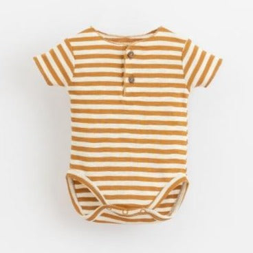 Body 11203